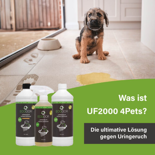 Afbeelding met een puppy die naast een plas urine op de vloer zit, met onderaan drie flessen UF2000 4Pets en de tekst “Wat is UF2000 4Pets?”.