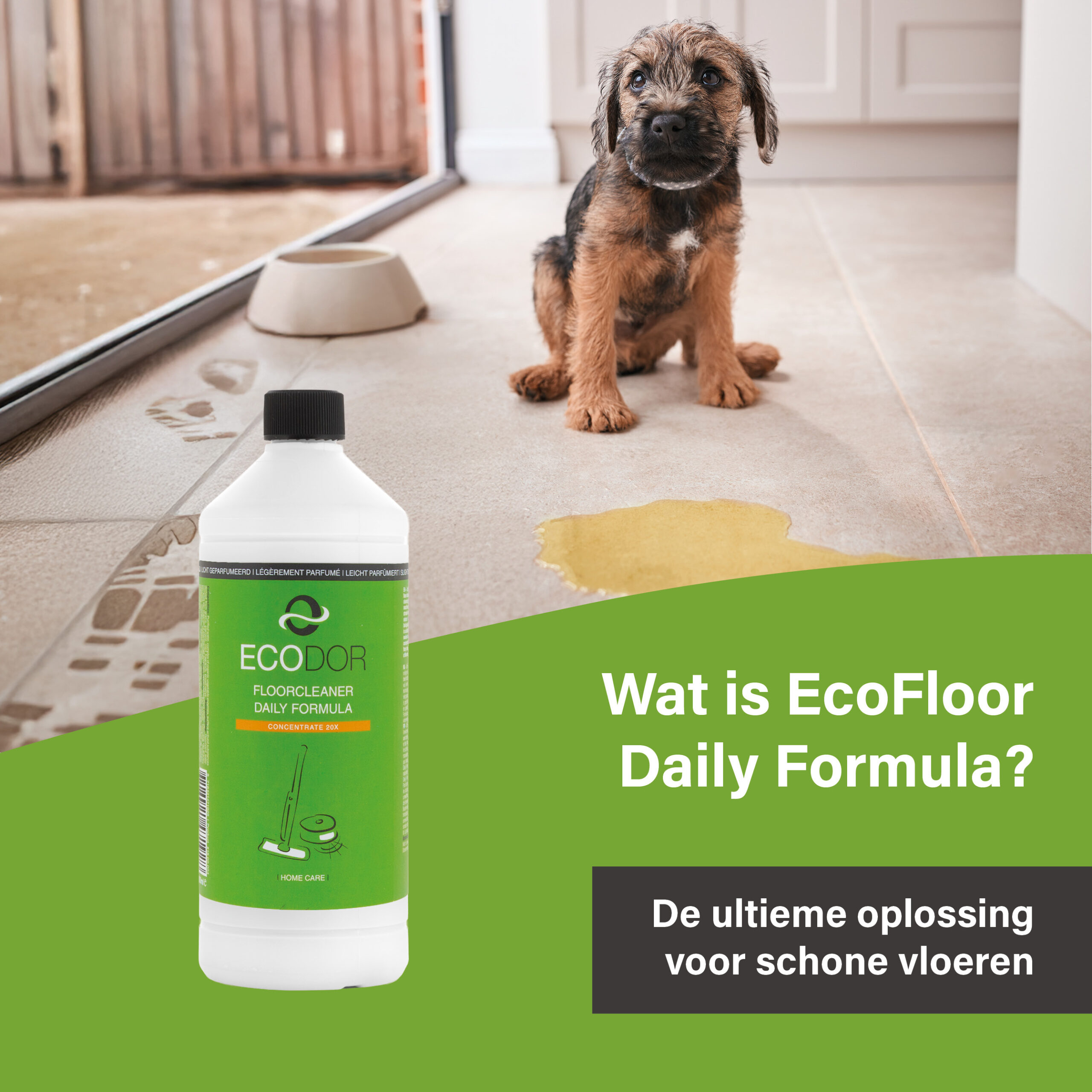 Puppy op een tegelvloer naast een plas urine met Ecodor EcoFloor Daily Formula vloerreiniger. Geschikt voor het reinigen van harde vloeren in huishoudens met huisdieren.